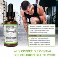Clorofila Líquida de Marca Privada 59ml, Suplemento Detox para la Piel, Venta al por Mayor, Orgánica, a Granel