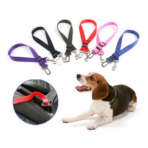 puppy belts