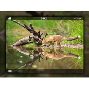 Caméra de Chasse WiFi Infrarouge 4K 20MP, Étanche IP66, Déclenchement 0,2s, Vision Nocturne 25m, Écran 2,4 Pouces, Vente en Gros Usine - Product Image 3
