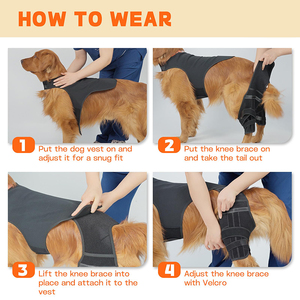 Ingrosso per cani ACL ginocchiera regolabile doppia gamba tutore per <span class=keywords><strong>la</strong></span> gamba posteriore aiuta con ACL strappati lesioni al legamento della <span class=keywords><strong>rotula</strong></span> - Product Image 5