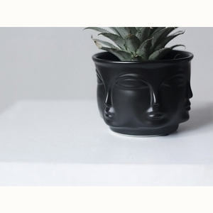 Fiore Piante in vaso giardino di casa Testa Fioriera macetero Viso Fioriere vasi per fiori decorativi <span class=keywords><strong>cactus</strong></span> succulente plantenpot vasi - Product Image 6