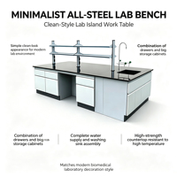 Fabricant direct de mobilier de laboratoire modulaire, banc de laboratoire anti-acide et anti-alcali, table de travail avec armoires de rangement