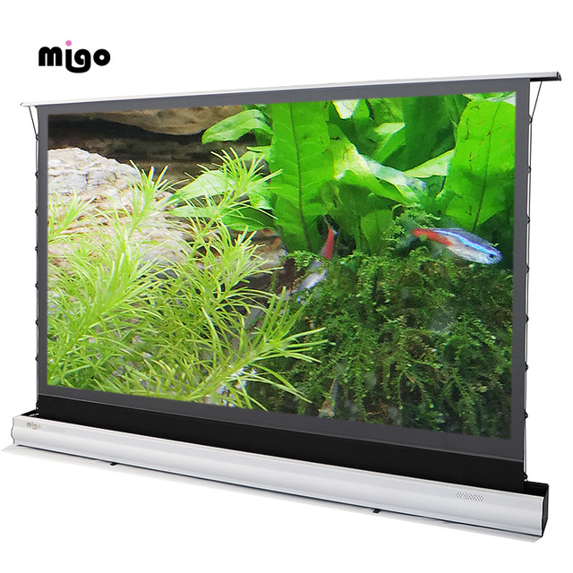 Ceiling Wall Mount Projection Screen Tension Floor Rising Motorized Projection Floor up Electrical Projection