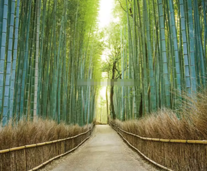 Elegante jardín otoño bosque paisaje 3D 5D 8D pared Mural foto papel tapiz - Product Image 5