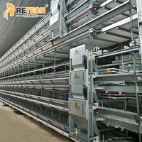 Cage à batterie de type H pour 100 000 poules, en acier galvanisé à chaud, alimentation automatique, fabriquée par Retech Factory, en vente
