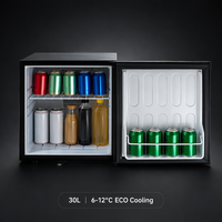 Mini-réfrigérateur électrique portable silencieux et économe en énergie de 30 L pour hôtel, chambre d'hôtes, refroidisseur de boissons