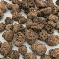 Ou Jie Thé aux herbes de racine de lotus séchée naturelle et saine 1kg/paquet Bonne qualité Anhui