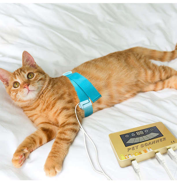 Animal Quantum with Multi-language Version Quantum Magnetic Body Health Analyzer for Dogs