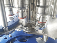 Machine de remplissage et de bouchage automatique de bouteilles en plastique PET OEM 2025