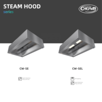 Hotte de cuisine professionnelle personnalisable Chefwin CW-SEL en acier inoxydable avec éclairage, 220V CA, pour zones de lavage et de cuisson à la vapeur