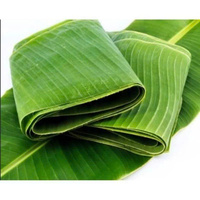 Feuilles de bananier vertes fraîches 100% naturelles, coupées, pour l'emballage alimentaire et la cuisson à la vapeur, Dong Nai-Vietnam EXO