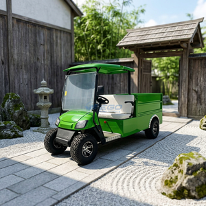 Voiture de golf électrique haute performance homologuée pour la route, 4x4, longue portée, couleur personnalisée, certifiée CE, capacité 2 personnes - Product Image 1