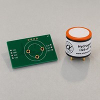 Module de capteur de gaz H2S sur mesure, calibré en usine pour les usines de traitement des eaux usées, la sécurité industrielle, module de capteur de gaz H2S