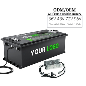 LiFePO4 Golf Cart pin 36V 48V 72V 96V 50Ah 65Ah 105ah 150AH 200AH Golf Cart pin lithium chuyển đổi Bộ dụng cụ với bộ sạc - Product Image 1