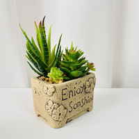 Arrangement de plantes succulentes artificielles en pot en céramique, style nordique, plante de bureau, décoration en pot, prêt à la vente, boîte cadeau