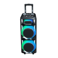 Altavoz Bluetooth de 100W RMS con Logotipo Personalizado, Caja Colorida, Molde Privado, OEM, ODM, CE, RoHS, Bajo MOQ, Proveedor Mayorista de Pruebas