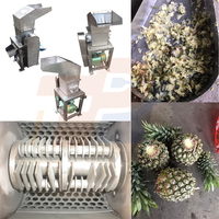 Fruitpulpmachine Breekmachine Palmfruit Breekmachine