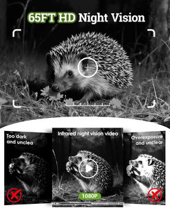 Caméra de chasse solaire WiFi BT CMOS 1080P 48MP, caméra de surveillance 5200mAh rechargeable, vision nocturne 65ft, détection de mouvement, étanche IP66 - Product Image 2