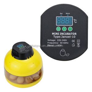 TUOYUN Usine Vente en gros Oeuf <span class=keywords><strong>automatique</strong></span> pour nouvel incubateur d'oeufs de perroquet <span class=keywords><strong>Janoel</strong></span> 10 - Product Image 4