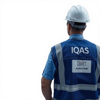 Audit del Processo di Pressofusione e Produzione Stampi IQAS per Servizi di Controllo Qualità e Ispezione Cina/Globale