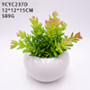 Petites Fausses <span class=keywords><strong>Plantes</strong></span> Succulentes Artificielles <span class=keywords><strong>Plantes</strong></span> en Pots Chambre Chambre Bureau Étagère <span class=keywords><strong>Salle</strong></span> <span class=keywords><strong>de</strong></span> <span class=keywords><strong>Bain</strong></span> Décor Mini Cactus en Plastique - Product Image 5