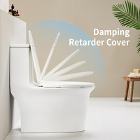 Toilette Céramique Siphonique Monobloc Marque ARROW, Ensemble de W.-C. Sanitaires pour Salle de Bain