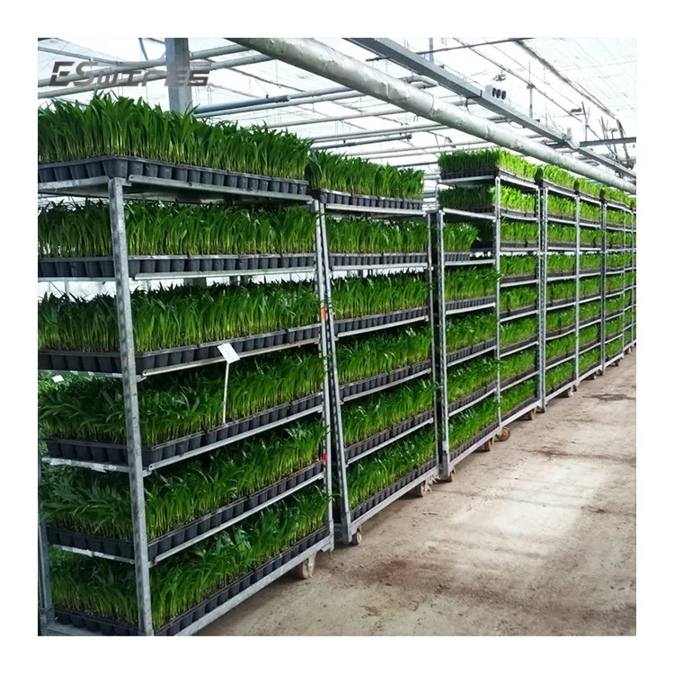 Galvanized Danish Farm multi-layer adjustable shelf greenhouses equipment plant nursery trolley