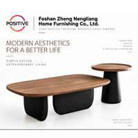 Ensemble de tables basses ovales, design minimaliste moderne du milieu du siècle, design créatif, meubles de salon, fabrication OEM ODM directe d'usine