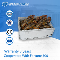 Panier à homards empilable en plastique de qualité alimentaire 600x400x300mm pour les détaillants de fruits de mer en chaîne PP