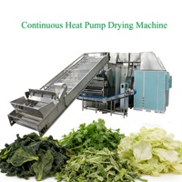 Complete 1 ton/uur 2 ton/uur 3 ton/uur lijn voor het wassen, snijden, blancheren, dehydrateren en drogen van verse fruit- en groentechips voor boerderijen