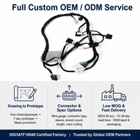 Kabel Harness Mobil Kustom OEM 12V 24V Tegangan Rendah Multi-Cabang Perakitan Kabel Otomotif IATF16949