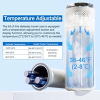 Étui de voyage isotherme portable pour insuline, mini-réfrigérateur à double température pour médicaments diabétiques