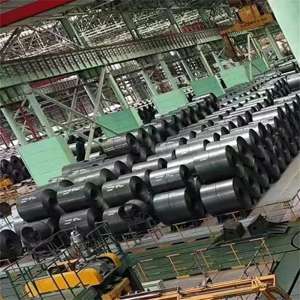 Bobine laminée à chaud d'acier au carbone à faible teneur en carbone de la largeur 12 Mm d'Astm A1080 Astm A366 - Product Image 5