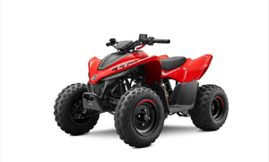 Motor CF0RCE 110 Premium, Monocilíndrico, 4 Tiempos, 107cc, Tipo DIY, Mango de Plástico, Frenos de Disco Hidráulicos OEM/ODM - Product Image 5