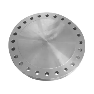 316L 304 stainless steel flange Forged Stainless Steel BLIND Flange