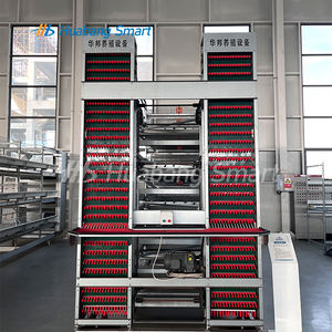 Batería para avicultura, equipo agrícola, tipo H, <span class=keywords><strong>jaula</strong></span> de batería de 10000 capas, jaulas para pollos con sistema de recolección de huevos - Product Image 1