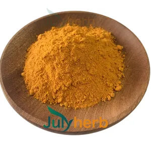 Julyherb Factory Supply Wholesale Edible Turmeric Root Yellow Pigment Powder