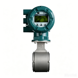 Débitmètres à montage sur bride en acier inoxydable 100 % Yokogawa série AXF/AXG, à prix compétitifs et avec prise en charge des modèles OEM - Product Image 4