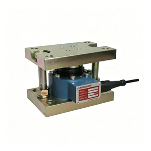 เครื่องชั่งน้ำหนักเวิดท์สำหรับเครื่องวัดบงชินเกาหลี BMH11-1t BMH11-1t เครื่องชั่งน้ำหนักเวิดท์สำหรับเวิดท์ เครื่องชั่งน้ำหนักเวิดท์สำหรับเครื่องวัดบงชินเกาหลี - Product Image 1