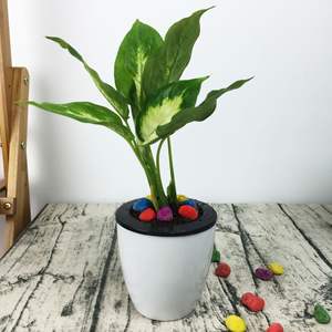 Grand pot de fleurs en résine plastique écologique blanc style ferme, auto-absorbant, design <span class=keywords><strong>paresseux</strong></span>, pour jardinage de Pothos - Product Image 4