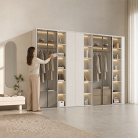 Système de dressing moderne de luxe avec portes en verre fumé, cadre foncé et éclairage intérieur LED chaud