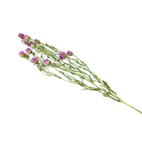 Bouquet de fleurs séchées de Tagetes Patula, blanc et violet, 50-60 cm, arrangement durable pour vase, décoration de Noël, de Pâques et de la maison