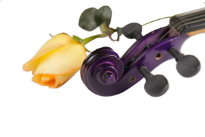 Vendita diretta in fabbrica di moda <span class=keywords><strong>viola</strong></span> lucido in legno massello tiglio <span class=keywords><strong>violino</strong></span> 4/4 <span class=keywords><strong>violino</strong></span> per studente - Product Image 5