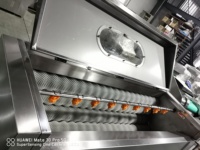 Machine industrielle de lavage et de pelage des légumes-racines en acier inoxydable, brosse à rouleaux, pomme de terre, taro, carotte, radis, gingembre