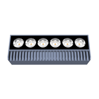 Bande LED RGB 5050SMD personnalisable, étanche, en aluminium, pour vitrine, éclairage de présentation, découpable, adhésif 3M, CRI 80 90