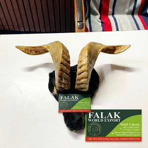 แตรแกะทำมือขนาดใหญ่ เสียงดังไพเราะ ทันสมัย กันน้ำ ผลิตด้วยมือ แบรนด์ Falak World Export ขัดเงาแล้ว - Product Image 5