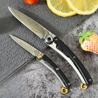Thuis Fruitmes, Schilmes, Vouwmes, Mini Mes, Cadeau Keukenmes, Draagbaar Mes, Prachtige Sleutelhanger Mes