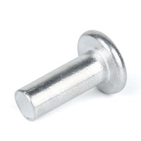 Chine usine Top haute qualité fer Offre Spéciale aluminium laiton marteau tête plate solide Rivet en acier inoxydable poignée frapper Rivet Kit