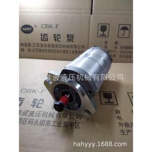 Bomba Hidráulica de Doble Engranaje Personalizada CBK1010/4 B4FR - Product Image 5