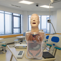 Modèle de mannequin d'entraînement à trois chambres et à deux capsules, modèle d'entraînement pour l'examen de la prostate